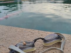 -柳浪游泳场