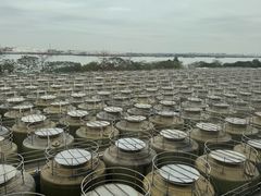 -厨邦酱油文化博览馆