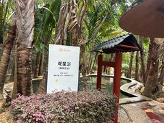 -罗浮山嘉宝田森林温泉度假酒店