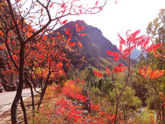 景点-百里山水画廊乌龙峡谷