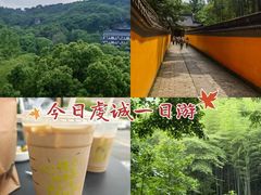 -灵岩山风景区
