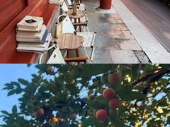 -北京石刻艺术博物馆(五塔寺)