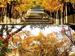 -八大关景区