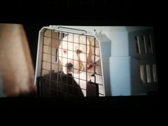 -AMG海上明珠影城(上海环球港RealDCinema店)