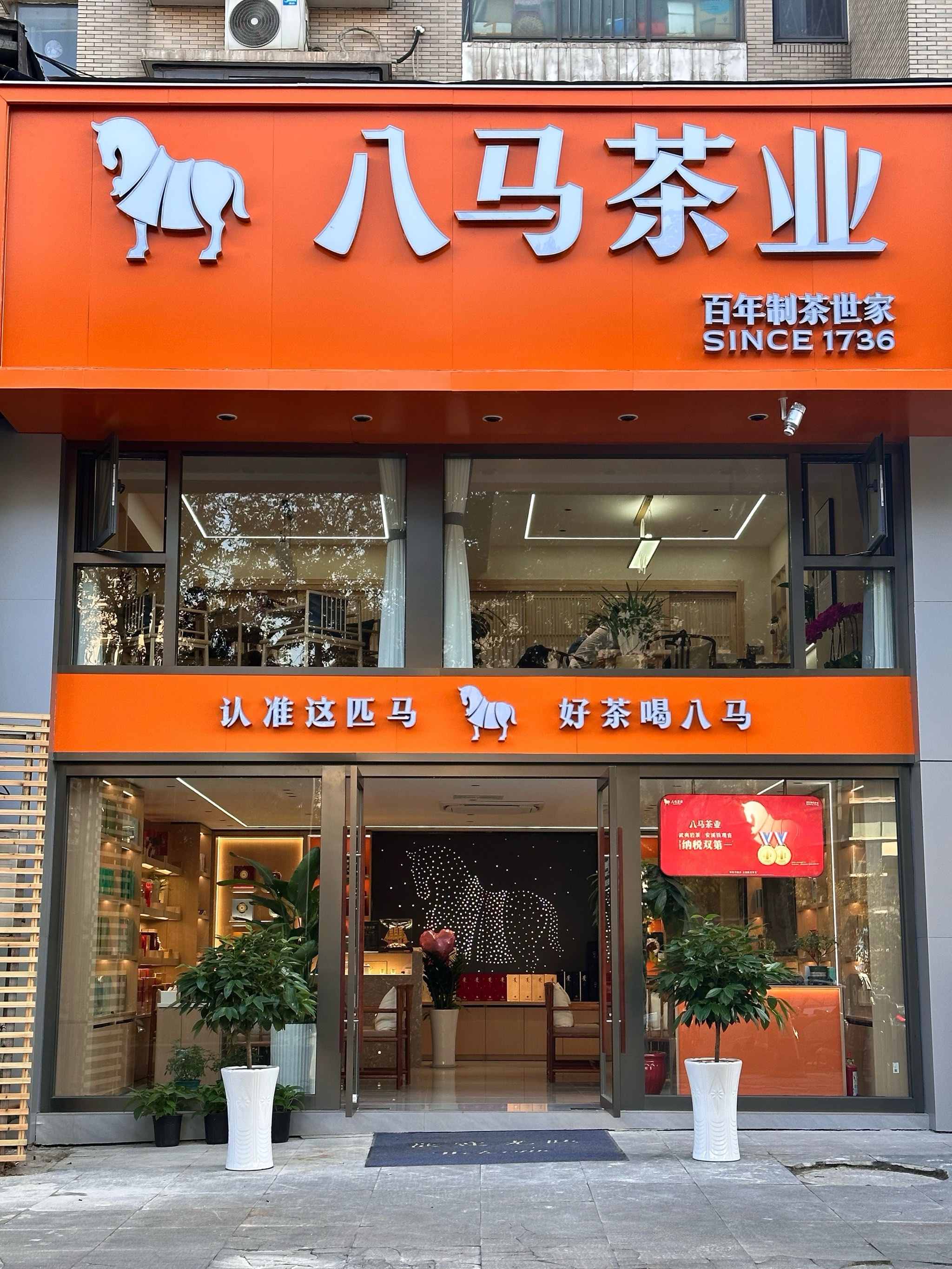 八马茶业价格表店员图片