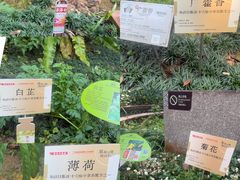 -广州神农草堂中医药博物馆