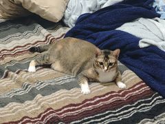 -大戚饭店(泰华路店)