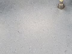 -横岗眼镜城