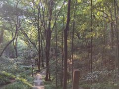 -杭州黄龙洞