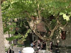 -星巴克臻选(思南公馆店)