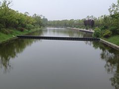 景点-上海海湾国家森林公园
