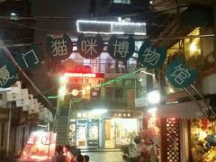 -猫咪博物馆(顶澳仔猫街店)