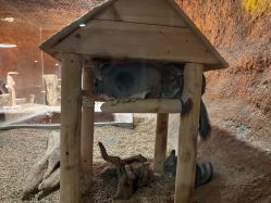 -酷嗒动物文化乐园(cutezoo西溪乐天城店)