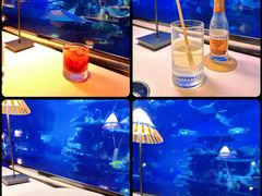 -迪拜帆船酒店海底餐厅