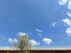 -光明小镇欢乐田园