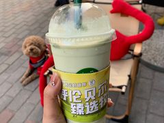 -茉酸奶(鼓楼吾悦广场店)