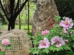 -洛阳市隋唐城遗址植物园
