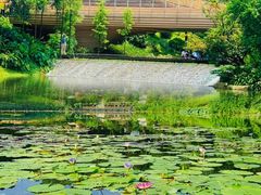 -云溪植物园