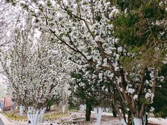 -元大都城垣遗址公园