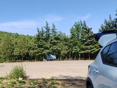 -秦王湖景区