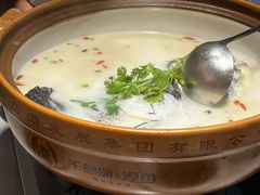 -全乐鱼馆·淳牌有机鱼直营店