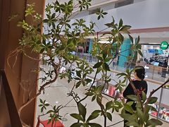 -火地铁板烧(昆山万象汇店)
