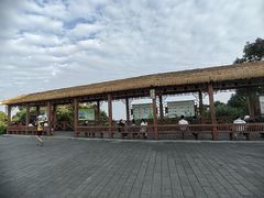 -广州市帽峰山景区