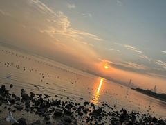 -深圳湾公园(南山区)