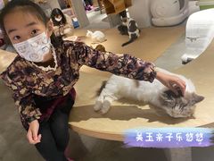 -more than meow吴止猫主题餐厅(承德 中船汇店)