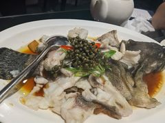 青花椒蒸龙胆鱼-闽和南(深圳万象城店)