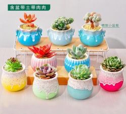 点击看大图 -周大福CHOW TAI FOOK(南翔老街店)