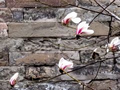 -东华门大街小区