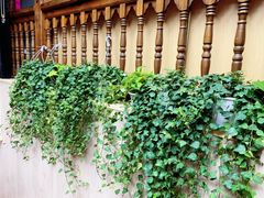 -热火朝天鲜切牛肉火锅(南强街巷店)