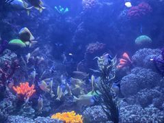 -海合安青岛极地海洋公园