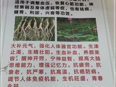 -朴小妹人参鸡汤火锅(长白山万达店)