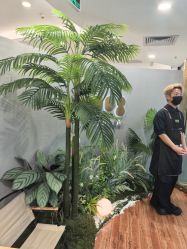 点击看大图 -八佰伴8008星级形象店