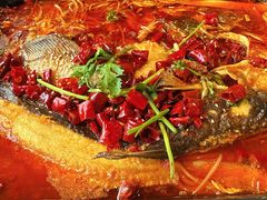 -蜀腾川·火锅鱼.烤鱼(新世界城店)