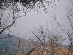 -北京西山国家森林公园