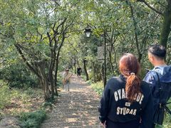 -杭州半山国家森林公园