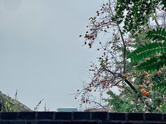 -自如ZSPACE四合院艺术餐厅