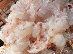 -大红袍火锅料理(尖沙咀店)