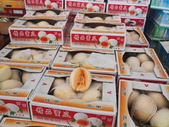-西郊国际农产品交易中心