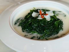 -顺德美的万豪酒店-万豪中餐厅