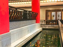 -龙悦湾酒家·八阵鱼生·渔人码头店