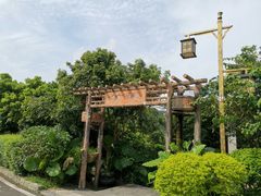 -大屏嶂森林公园