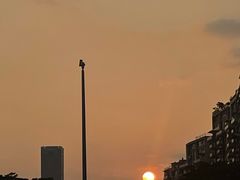 -龙凤点心饼家·39年老字号(松岗店)