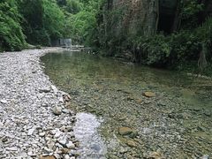 -重庆市奥林匹克体育中心-游泳跳水馆