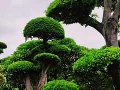 -南宁南湖公园