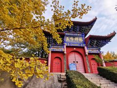 -遵化市禅林寺古银杏风景园