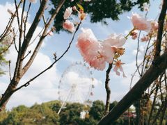 -观澜湖生态运动公社